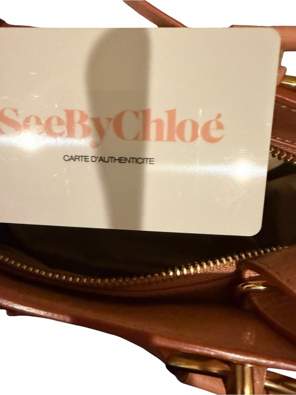 See By Chloe Blush Satchel with Gold Details - Picture 15 of 16